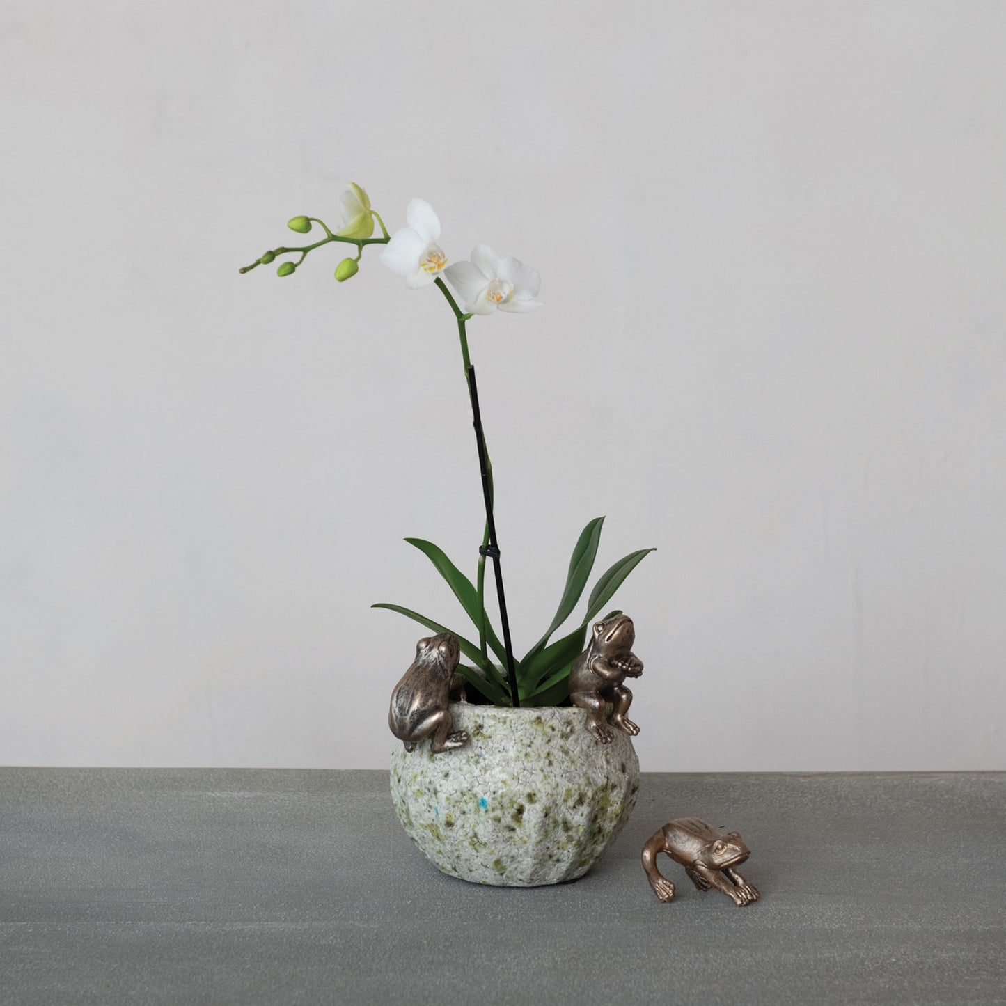 Decorative Frog Pot Hanger