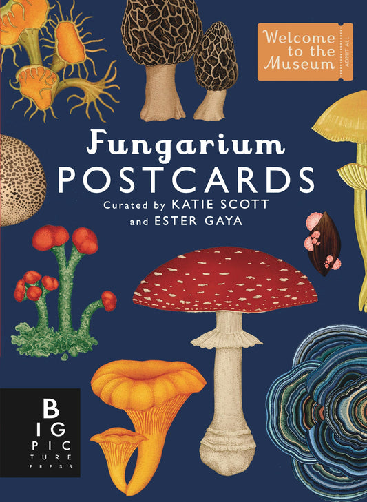 Fungarium Postcard Set