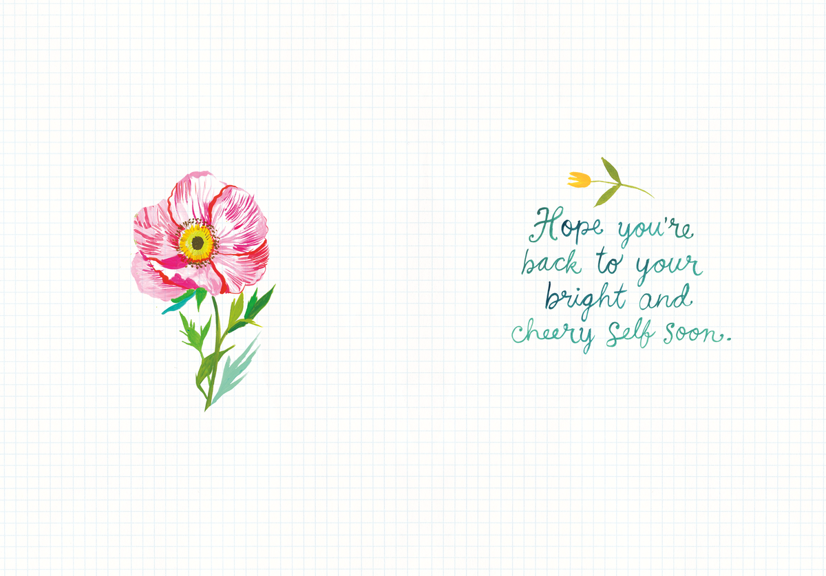 Floral illustration with a pink flower and text on a white background