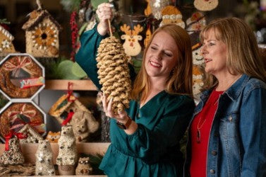 Mr. Bird Giant Pine Cone