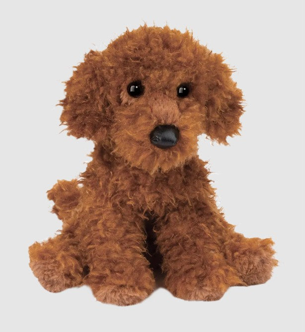 Ginger Miniature Poodle