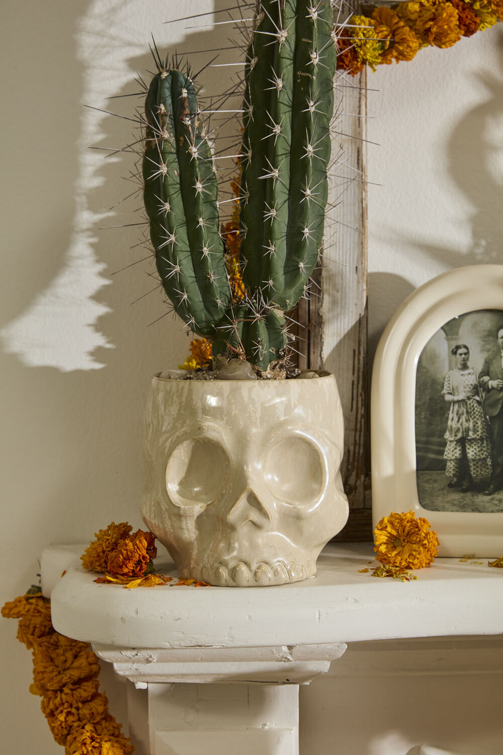 Haunting Skull Pot