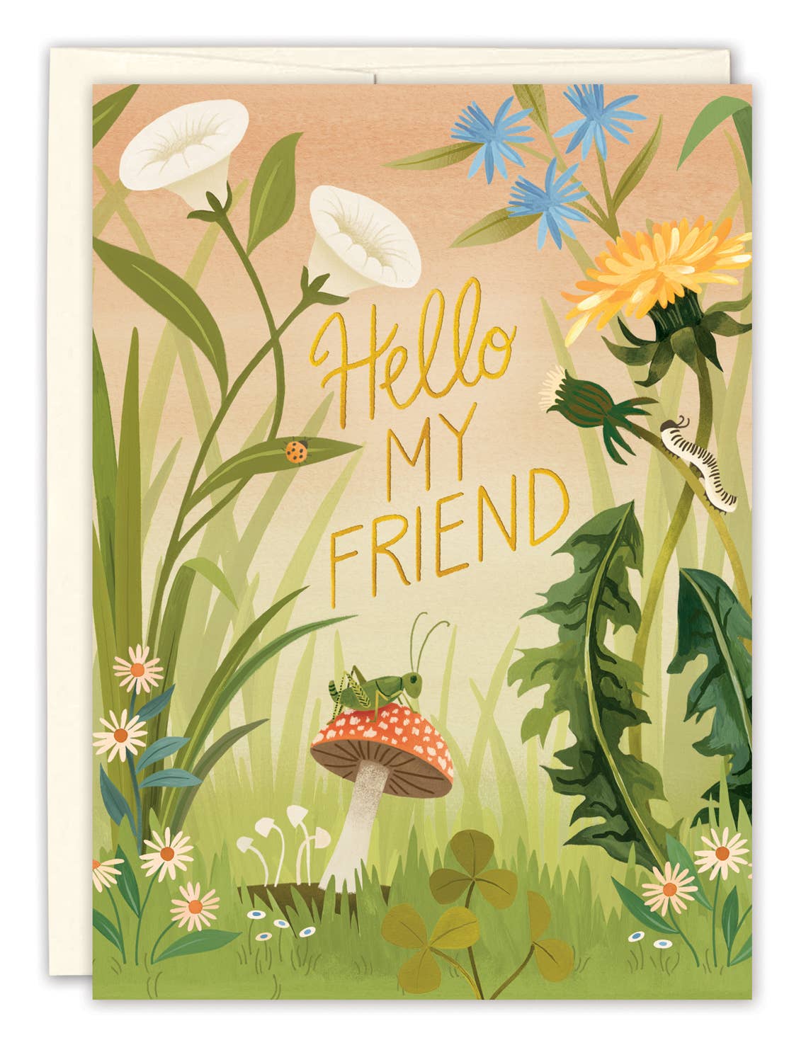 Greeting card with floral design and 'Hello My Friend' text