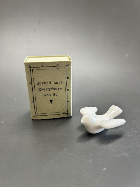 Dove in Matchbox