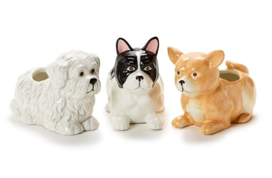 Mini Dog Cachepot