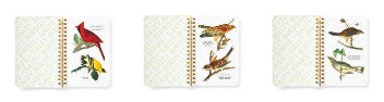 Salty Birds Sticker Book