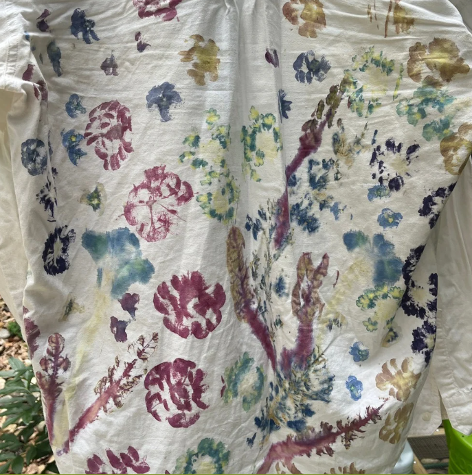Solstice in the Garden - June 20 from 6p-8p