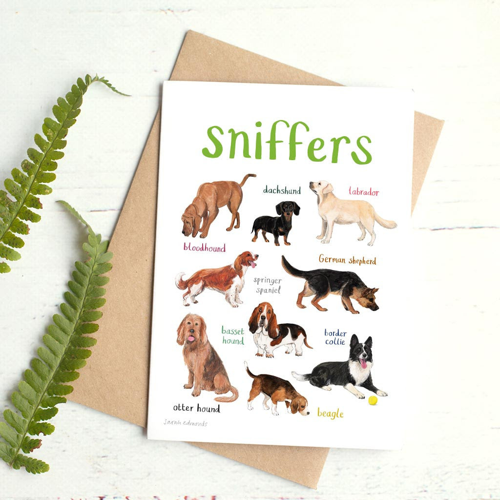 Card with illustrations of dogs and their names on a white surface with a fern leaf.