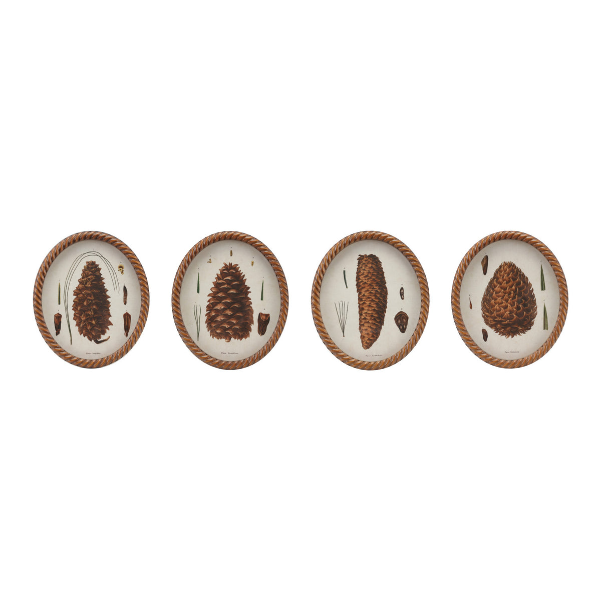 Twisted Framed Glass Wall Decor with Pinecone Image