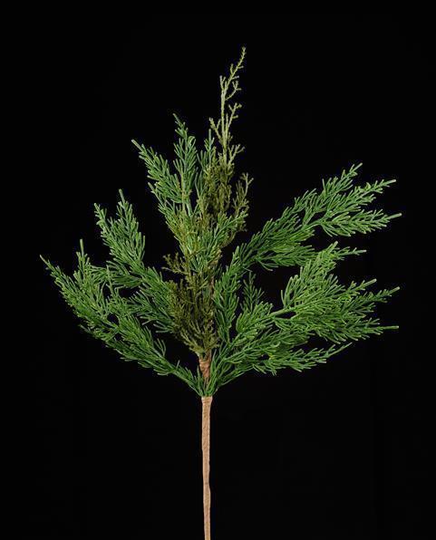 Cedar Spray, 20"L