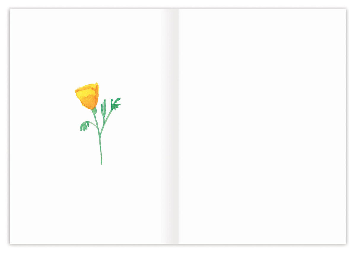 Yellow flower illustration on a white background