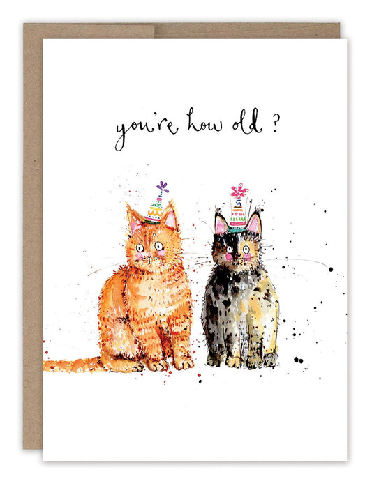 Greeting card with two cats wearing birthday hats and text 'you're how old?' on a white background.