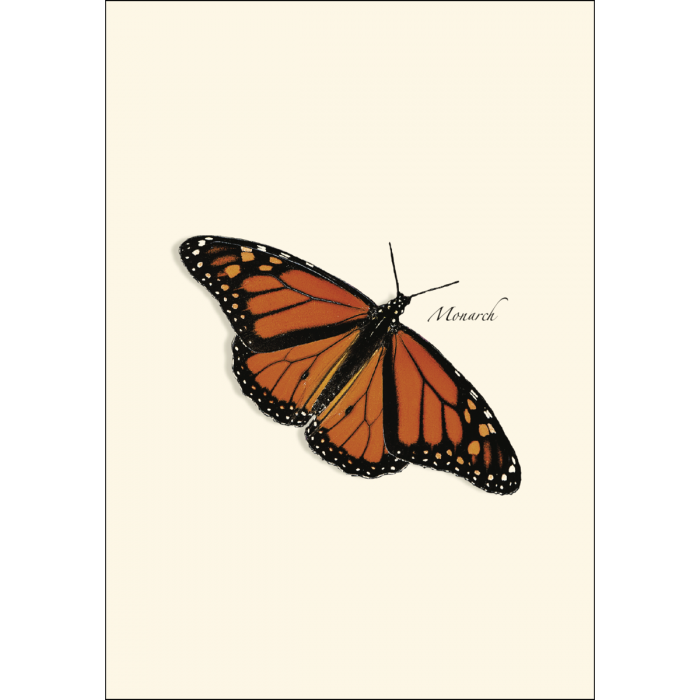 Butterfly boxed notecard set with eight assorted cards in four butterfly designs illustrated by Rick Cech, with matching envelopes.