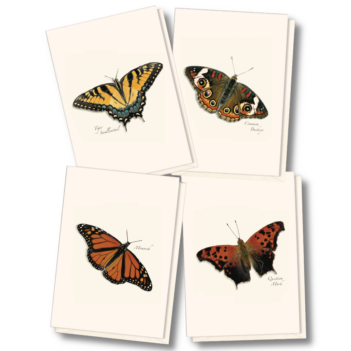 Four assorted butterfly notecard designs featuring detailed nature illustrations by Rick Cech for handwritten notes and everyday correspondence.