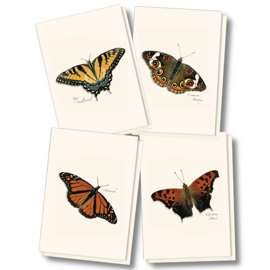 Four assorted butterfly notecard designs featuring detailed nature illustrations by Rick Cech for handwritten notes and everyday correspondence.