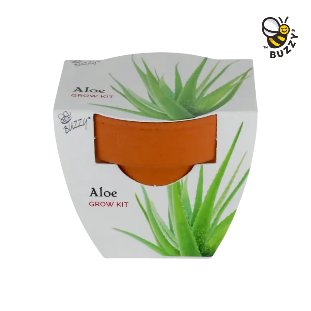 Aloe Mini Grow Pot