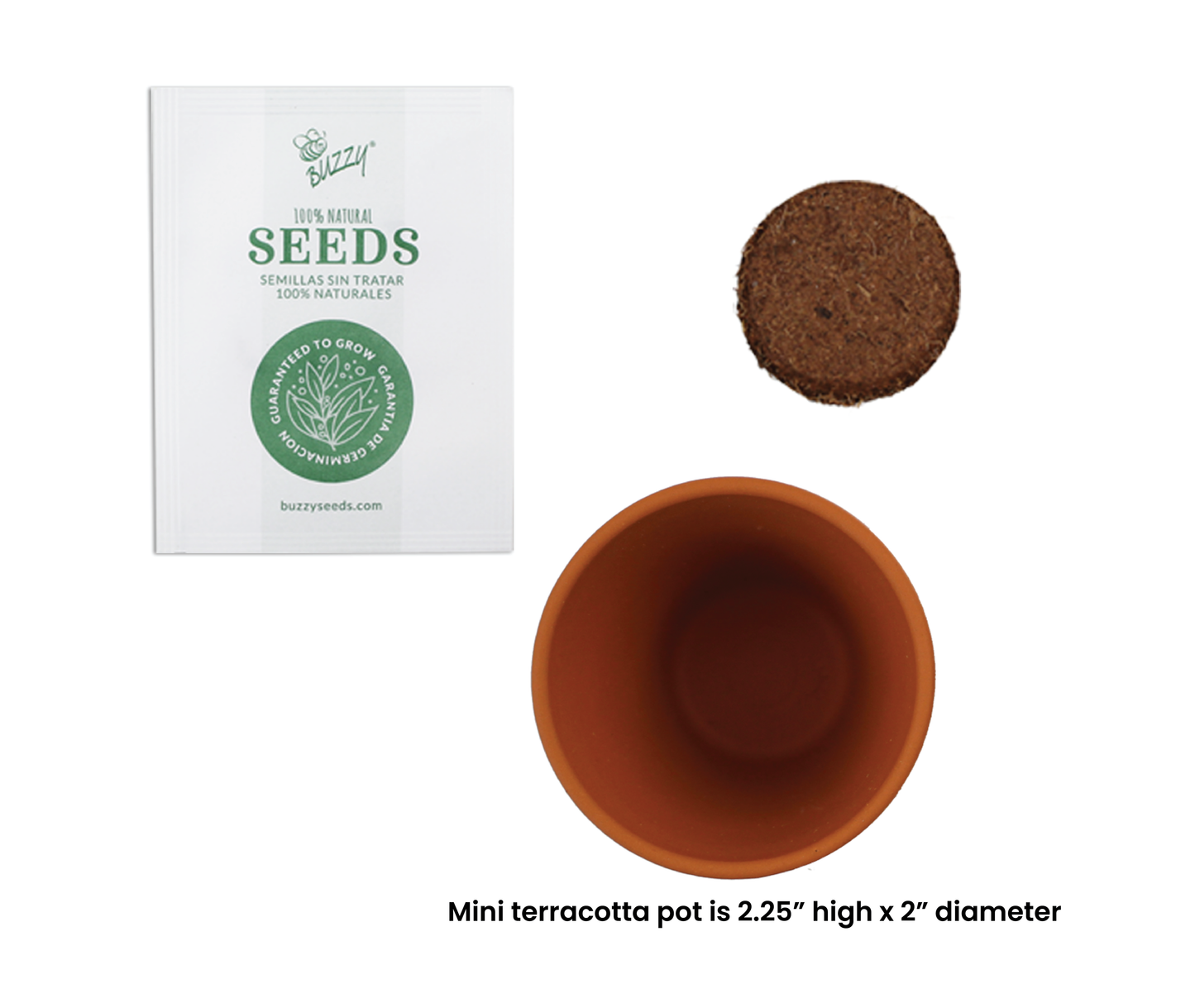 Peppermint Mini Terracotta Pots – Grow Kit
