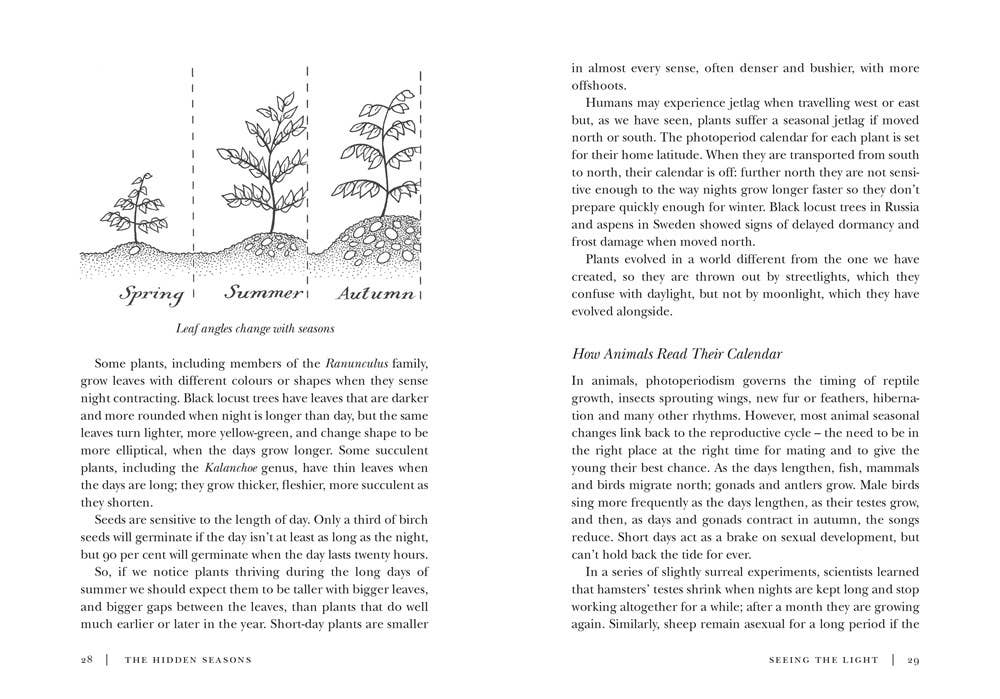 The Hidden Seasons: A Calendar of Nature's Clues