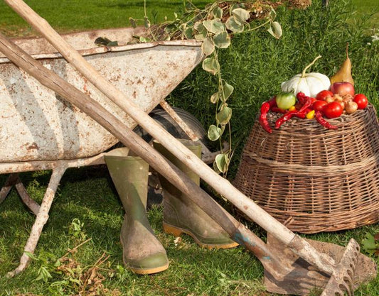 Putting Your Garden to Sleep - October 2nd @ 5:30pm