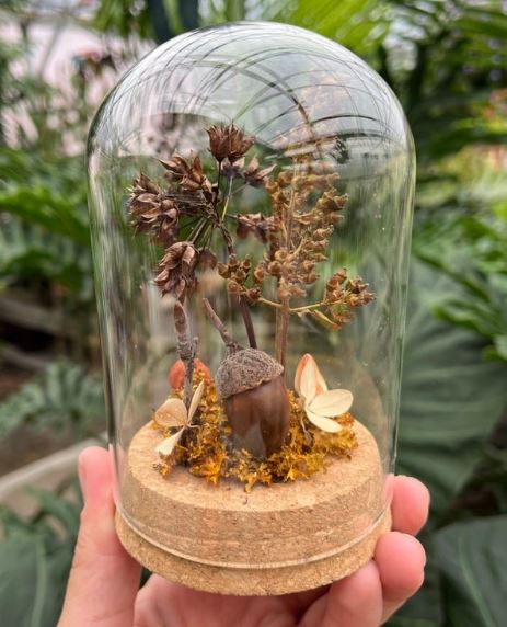 Autumn Mini Cloche Workshop - October 4 @ 11am