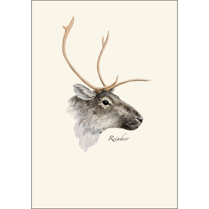 Reindeer Notecards, 8ct
