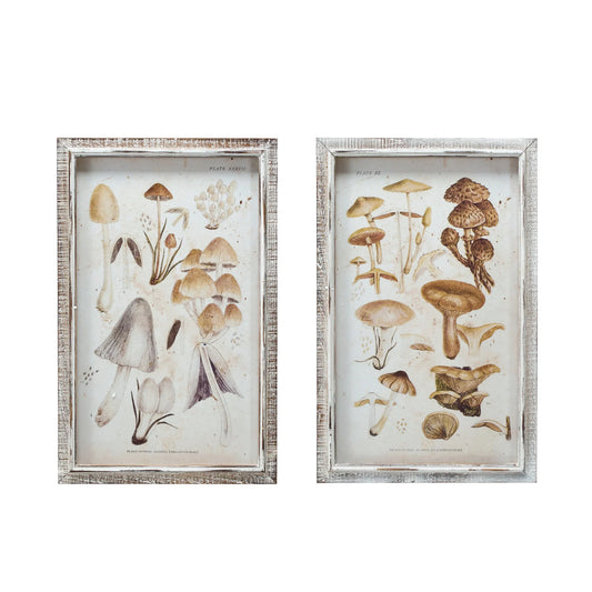 Wood Framed Glass Wall Décor w/ Mushrooms Print, Asst