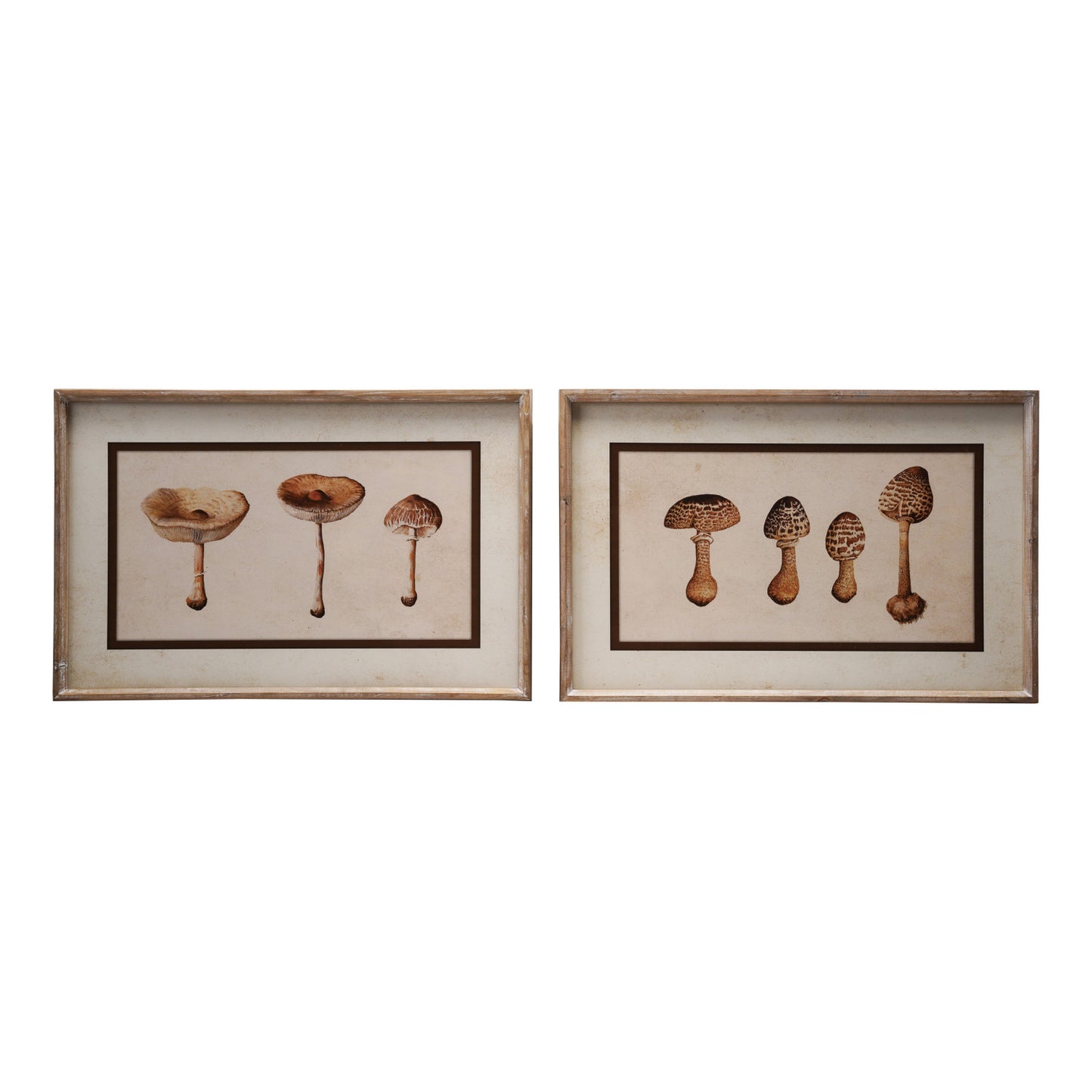 Wood Framed Glass Wall Décor with Mushrooms, Asst.