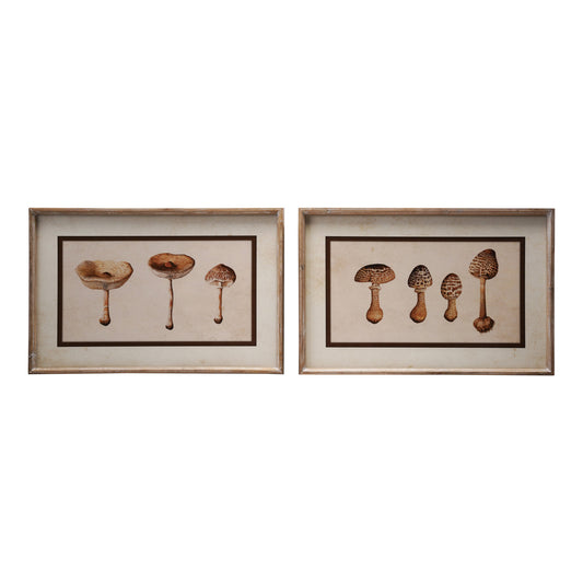 Wood Framed Glass Wall Décor with Mushrooms, Asst.