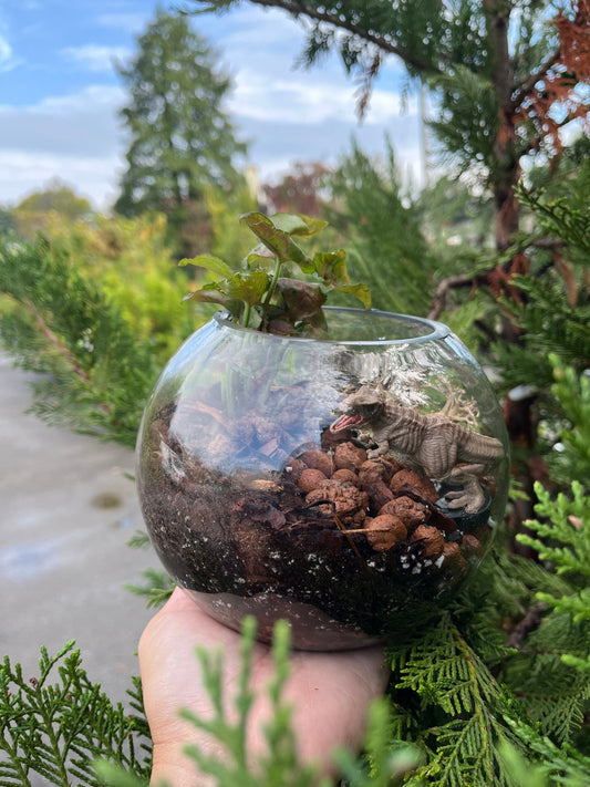Kids Korner: Dinosaur Terrariums - October 10 @ 11am