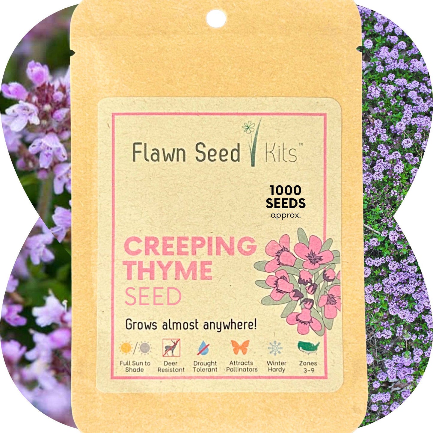 Creeping Thyme Seed Compostable Hanging Pouch