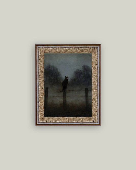 Black Cat in Night Framed Antique Art