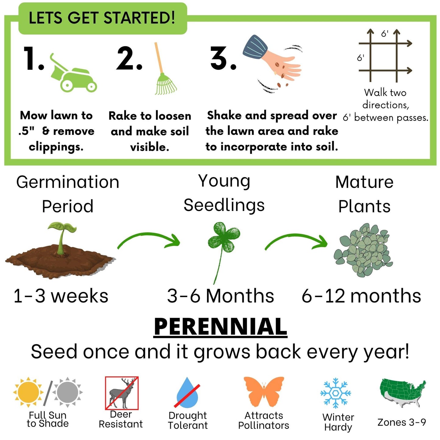 Micro Clover Seed Pouches