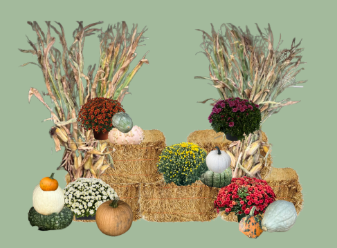 Fall Display Packages