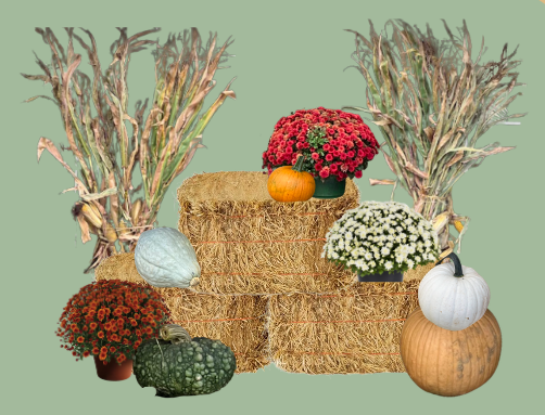 Fall Display Packages