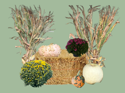 Fall Display Packages