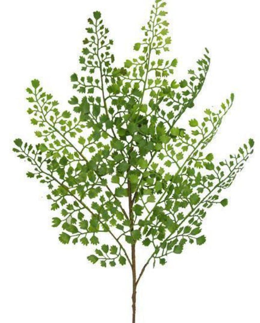 Maidenhair Fern Spray, 22"L