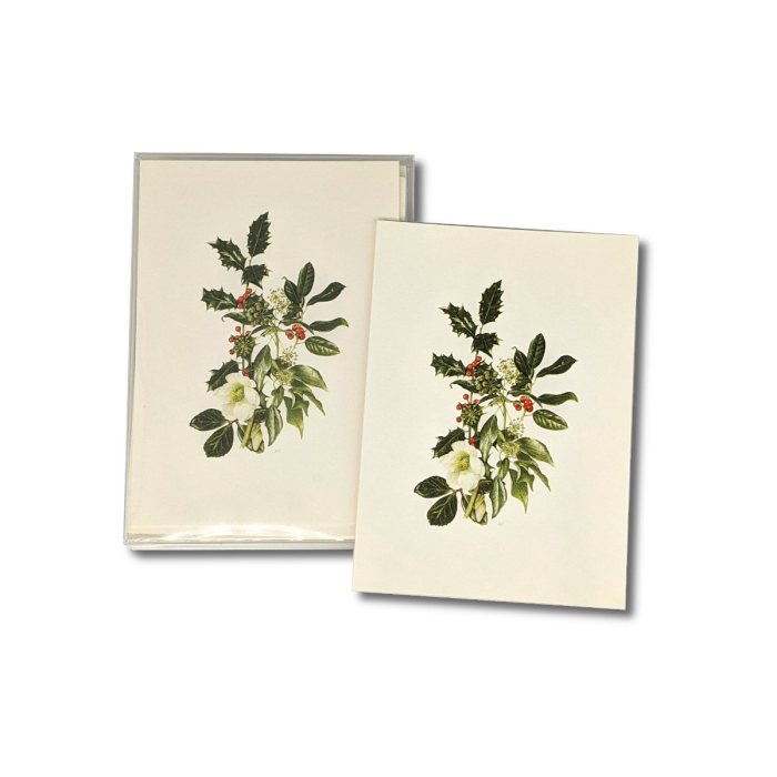 Hellebore and Holly stationery set with eight 3.5 by 5 inch botanical notecards and matching envelopes in recyclable packaging.