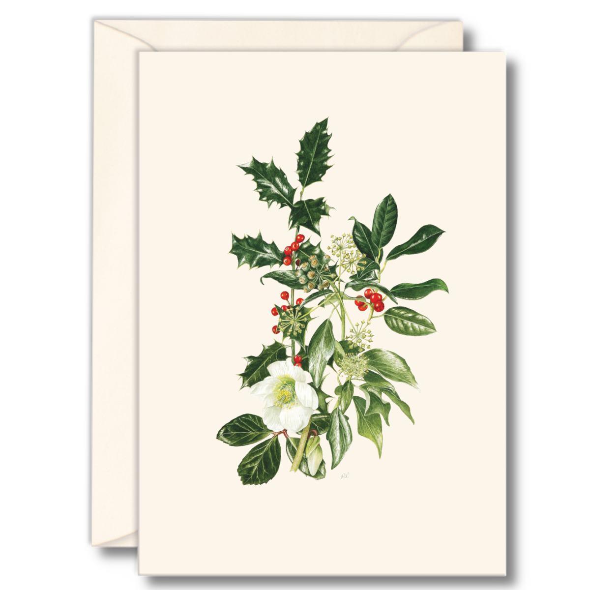Hellebore and Holly boxed botanical notecard set with eight assorted cards and matching envelopes featuring illustrations by Roger Reynolds.