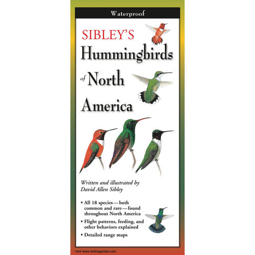 Laminated fold-out field guide showing illustrations and maps of 18 hummingbird species in North America