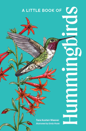 Small hardcover book titled A Little Book of Hummingbirds with watercolor illustrations of hummingbirds and flowers on the cover.