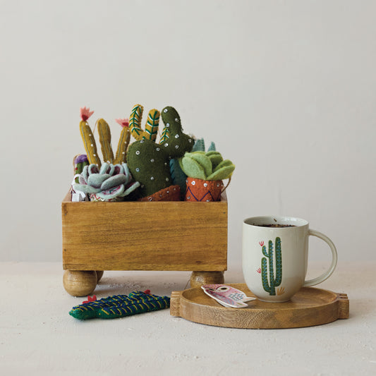 Natural mango wood footed container with rounded ball feet styled with small potted plants and art supplies.