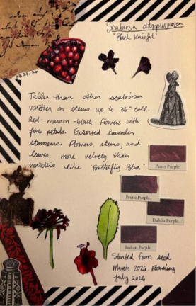 Nature Journaling - Saturday, August 29 at 11am