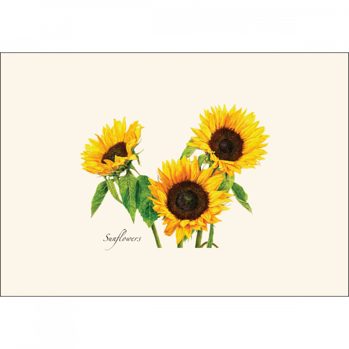 3 Sunflowers Notecards, 8ct