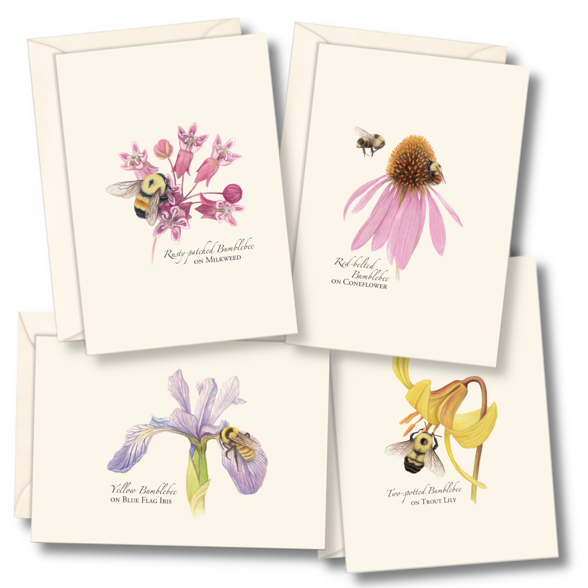Bumblebee Notecards, Asst. , 8 Ct