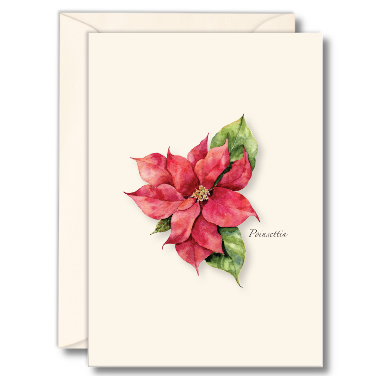 Poinsettia Notecards 8ct