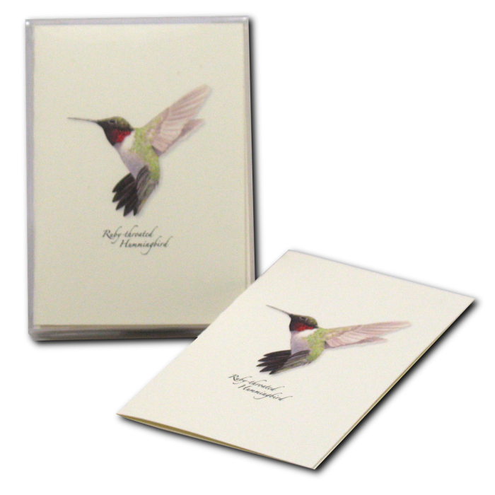Ruby-throated Hummingbird Notecards, 8ct