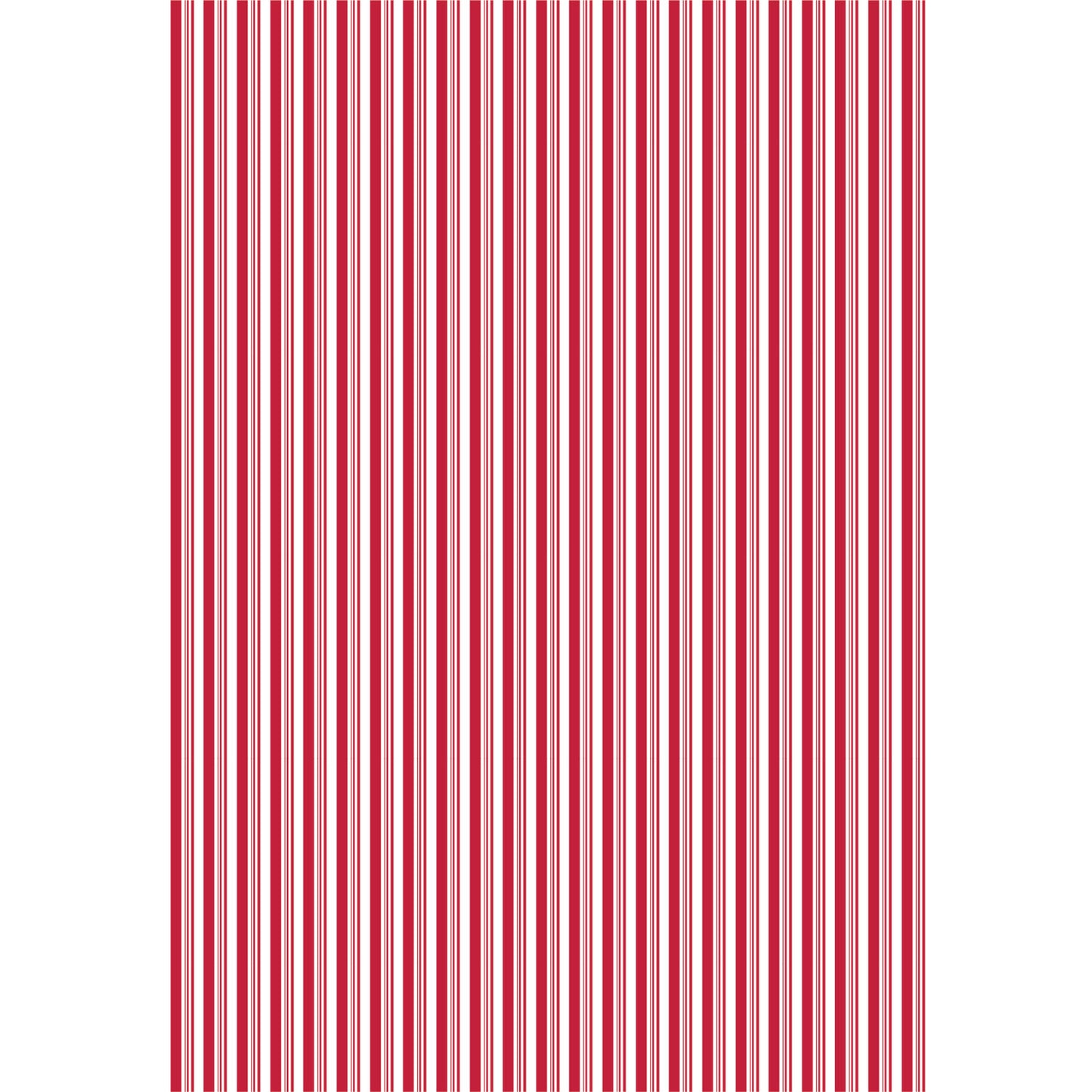 Merry & Bright Dishtowel