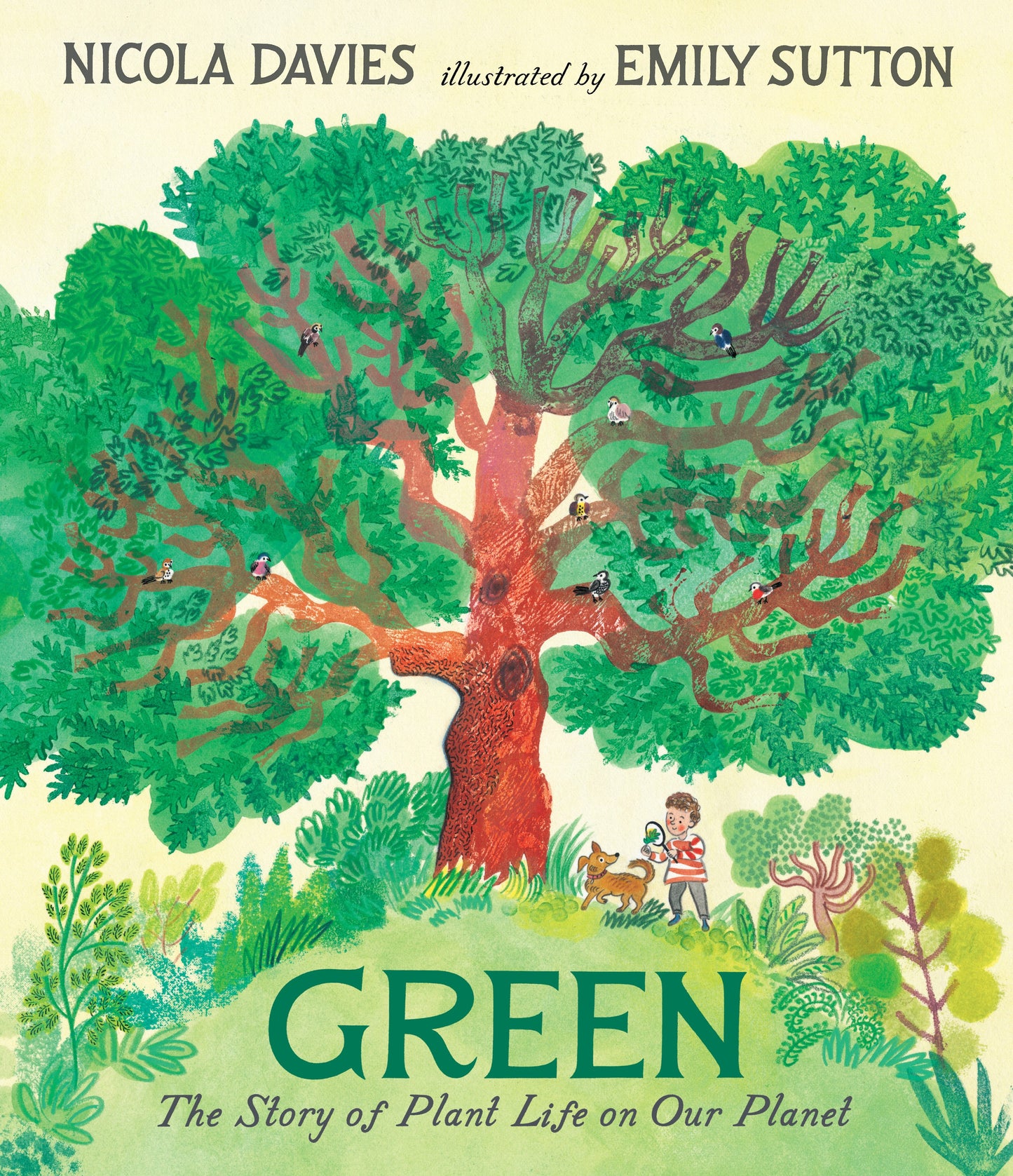 Green:   The Story of Plant Life on Our Planet