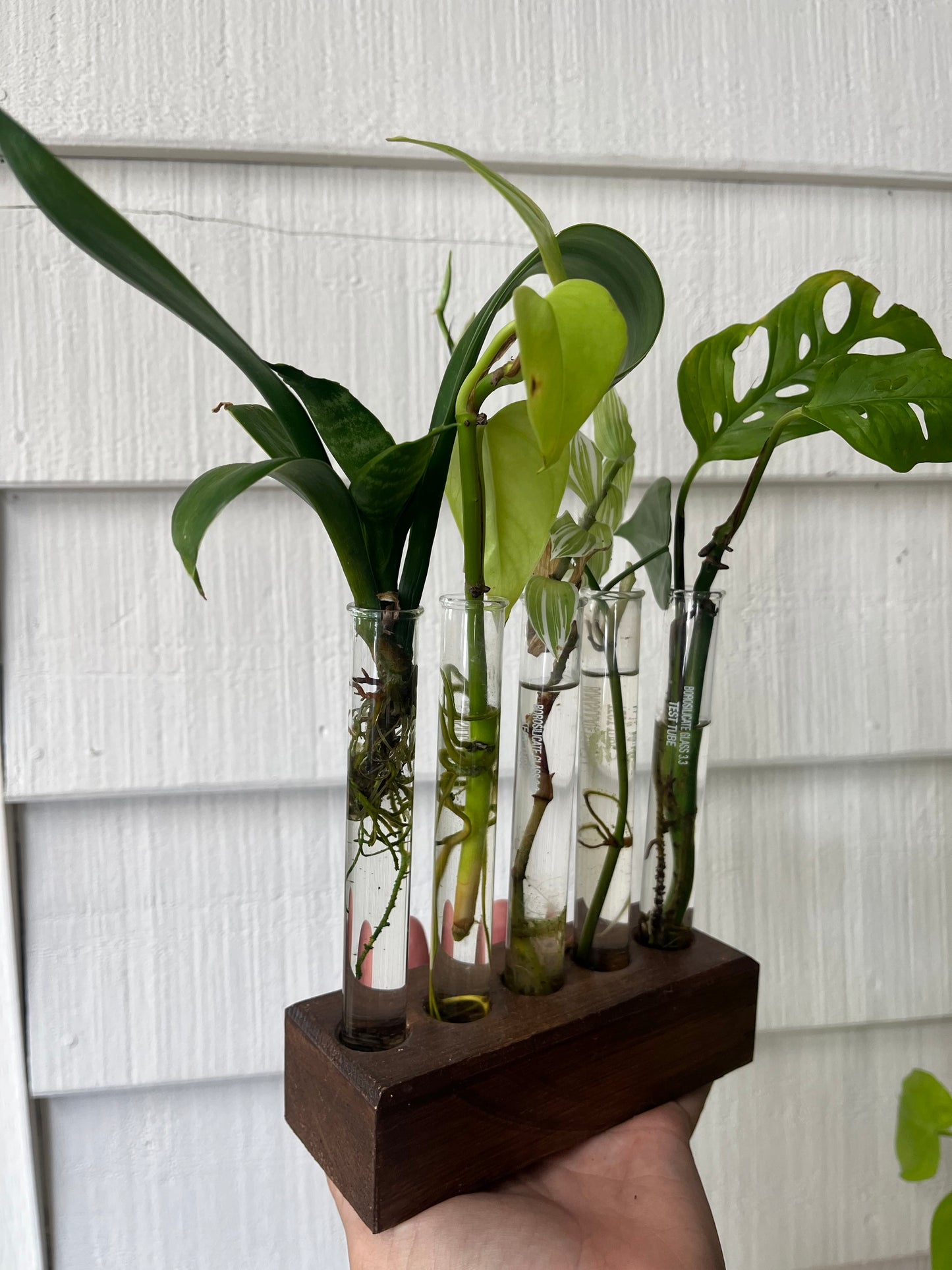 Propagation 101 - Saturday, September 12 at 11am