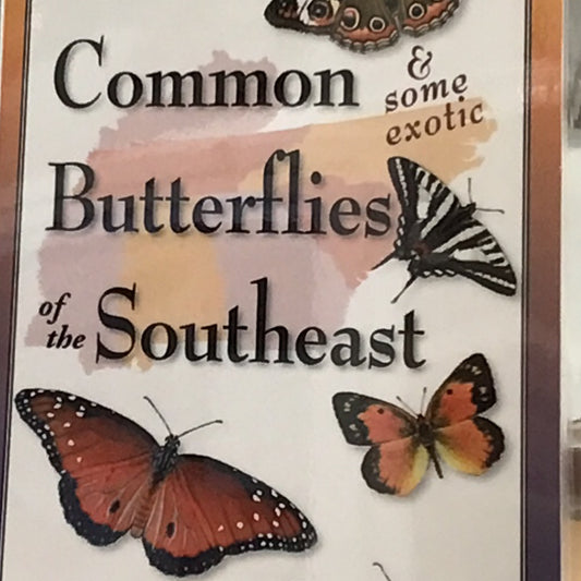 Common Butterflies of the Southeast Folding Guide